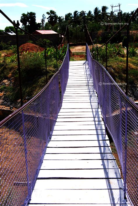 Srirangam Butterfly Park | Trichy Butterfly Park