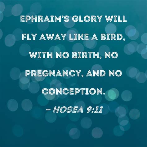Hosea 9:11 Ephraim's glory will fly away like a bird, with no birth, no ...