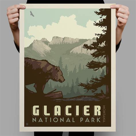 National Parks: Glacier-Bear (Best Seller) - 36x48 | Glacier national park, Glacier national ... - ecosystem of glacier national park