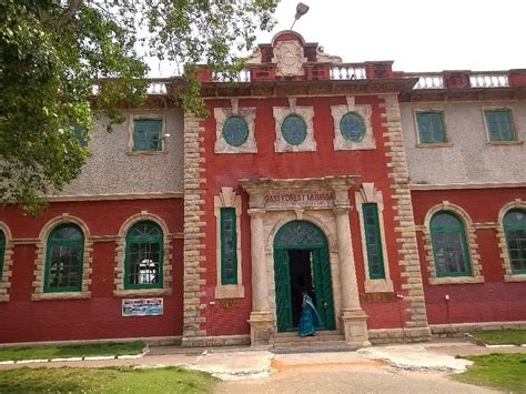 GASS FOREST MUSEUM (2026) All You Need to Know BEFORE You Go (with ...