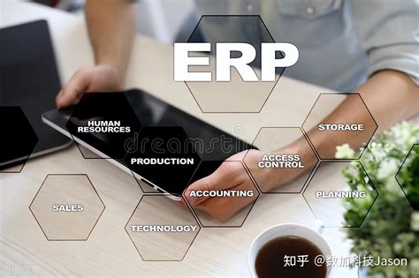 服装行业ERP操作流程图_word文档在线阅读与下载_免费文档