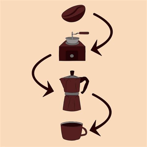 Process of Making Coffee 的图像结果
