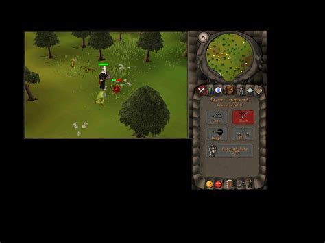 Image result for RSTS Tutorial