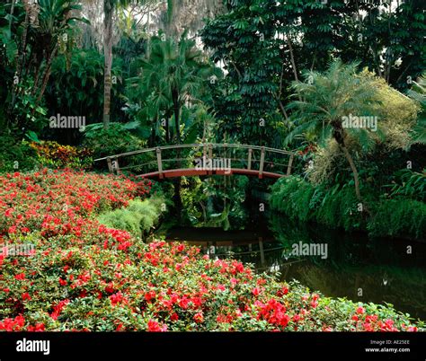 Florida Cypress Gardens USA Stock Photo - Alamy