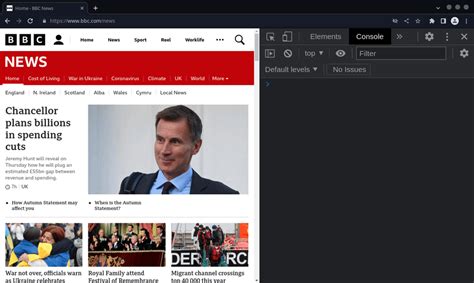 Image result for Dev Channel Browser