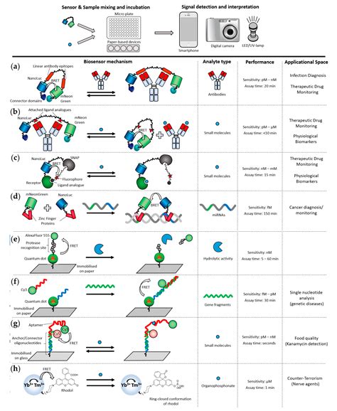 Resonance Energy Transfer-Based Biosensors for Point-of-Need Diagnosis ...