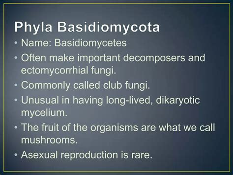 Groups and phyla of fungi | PPTX - phylum of fungi