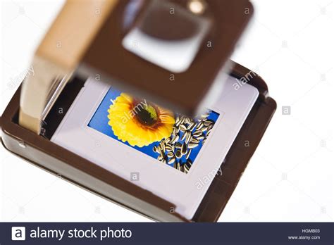Slide Viewer for Computer 的图像结果
