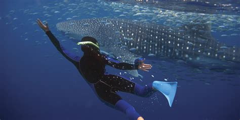 8 Hidden gems in Australia to explore 2025-26 | Flamingo Travels