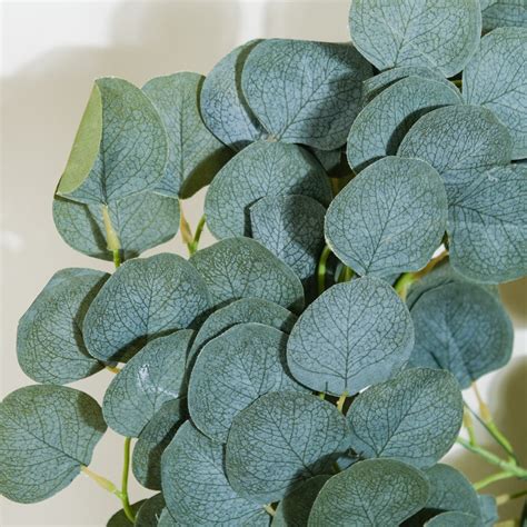 Eucalyptus Leaf Vine For Decoration Green Online - Premium Artificial ...