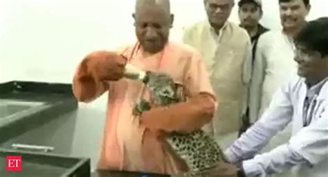Watch: CM Yogi Adityanath visits Shaheed Ashfaqullah Khan Zoological ...