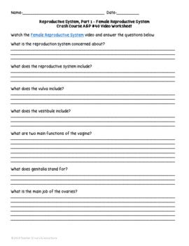 Crash Course Reproductive 的图像结果