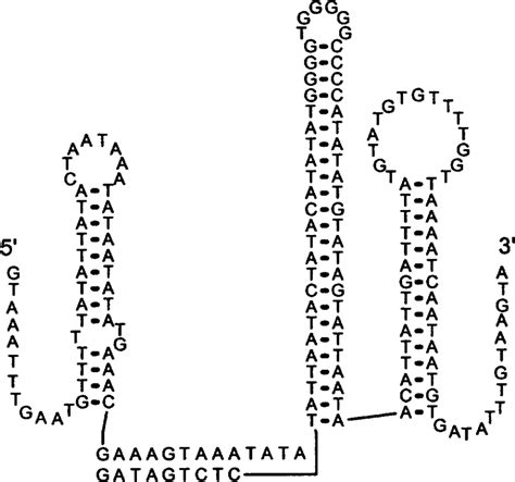 Labels KeyShot 的图像结果