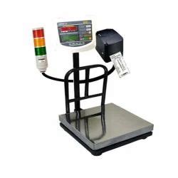 Gramton Weighing Automations, Pune - Manufacturer of Computerized ...