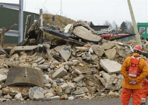 Forensic Engineer 的图像结果