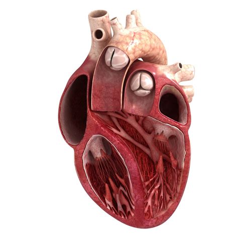 Image result for Heart with Name Using Python