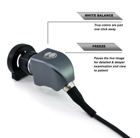 Portable Endoscopy Camera & Cold LED Light | Ubuy India