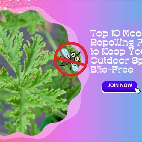 Best Gardening Tips | News and Care — Tagged "Mosquito-repelling plants ...