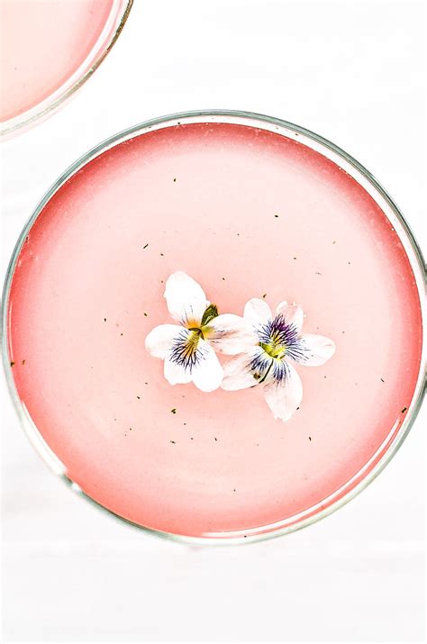 Rhubarb Martini • The View from Great Island