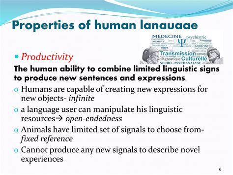 Human Language 的图像结果