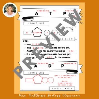 Image result for ATP Study Guide