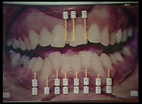 Ted Bundy: Selbstportät eines Serienmörders - Film 2019 - Scary-Movies.de