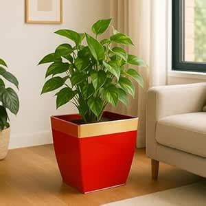 ecofynd 12 inches Metal Planters for Living Room | Midland Plant Pots ...