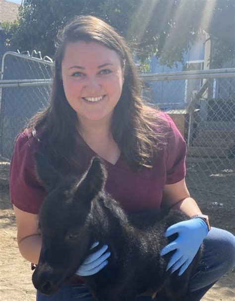 Dr. Michelle Stone | Butterfield Animal Hospital