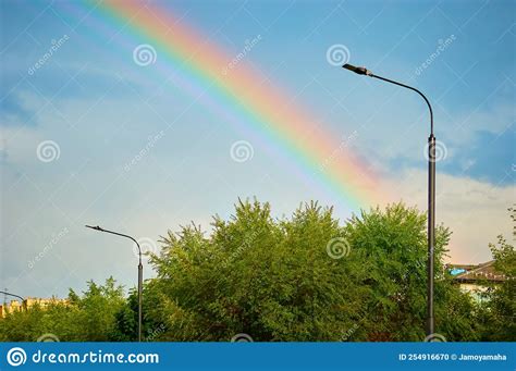 Rainbow after the Rain on the Blue Sky. Foliage of Trees Stock Photo ...