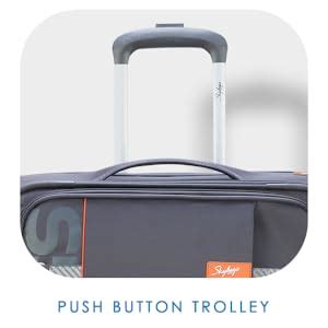 Skybags Polyester Solid Pattern Snazzy 4W Exp 4 Spinner Wheel Large ...