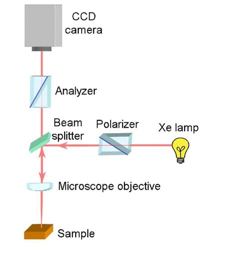 Polarizing Light Microscope 的图像结果