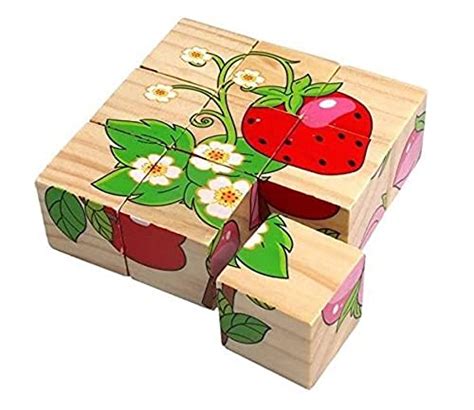 The Adorable 6-in-1 Wooden Block Puzzle for Kids, 9 Piece Colorful ...