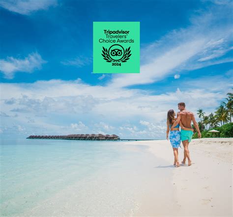 Crown & Champa Resorts wins TripAdvisor Travellers’ Choice Awards 2024 ...