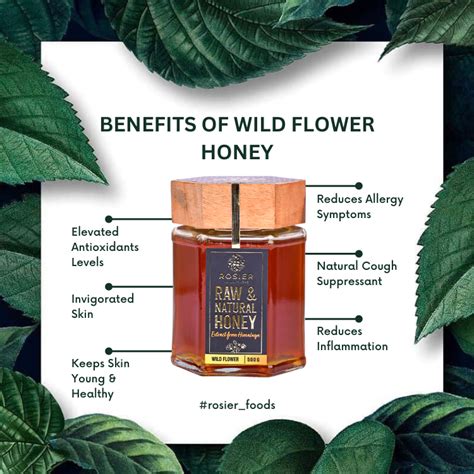 Wild Forest Honey – Rosier Foods