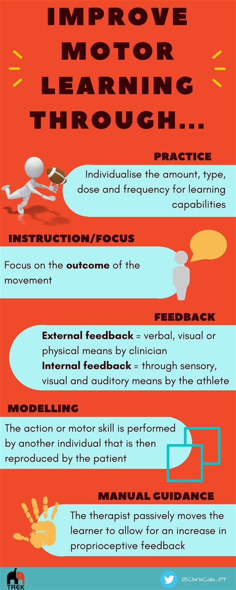 Motor Learning Principles 的图像结果