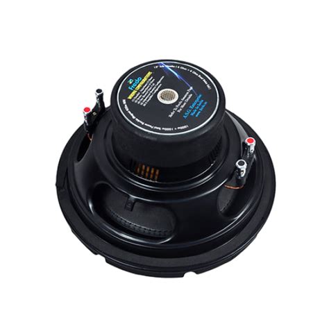 12-Inch Dual-Stack Ferrites Subwoofer - 2750W Peak / RMS 400W