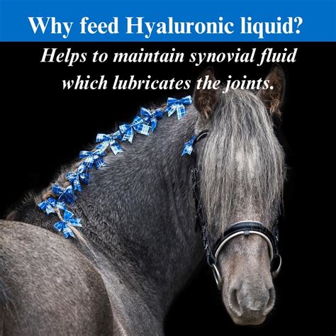 SU-PER Hyaluronic Joint Supplement for Horses - India | Ubuy