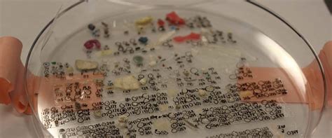 Image result for Manta Net for Microplastic Sampling