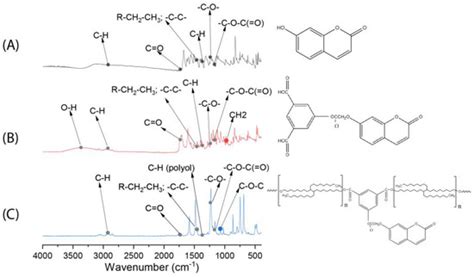 Bio-Based Photoreversible Networks Containing Coumarin Groups for ...