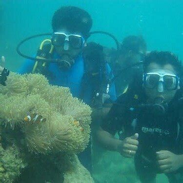 HIMANSHU GUPTA (2025) All You Need to Know BEFORE You Go (with Photos ...