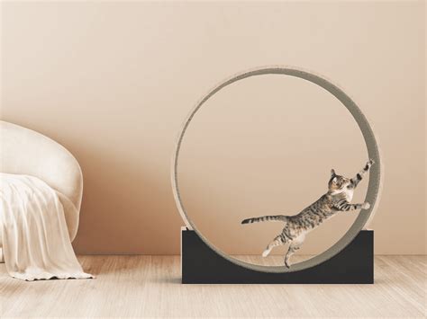 Kitty Wheel 的图像结果