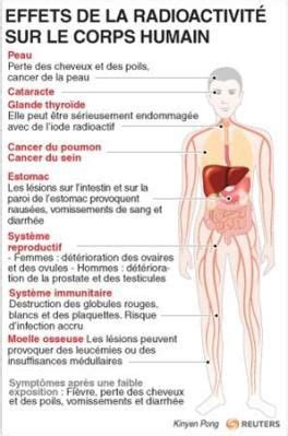 Image result for Radioactivite Corps Humain