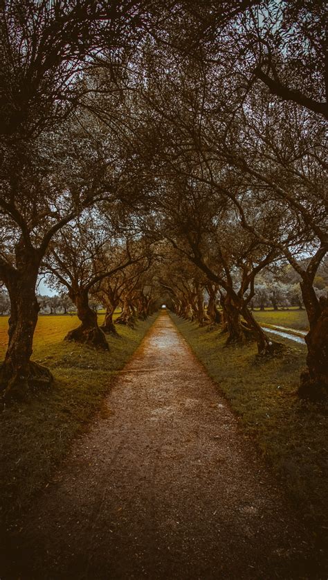 The road less taken : r/holloways