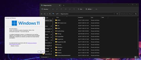 Image result for Windows 11 23H2 File Explorer