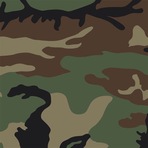 M81 Woodland Camouflage: America’s Classic BDU Pattern - Inside Safariland