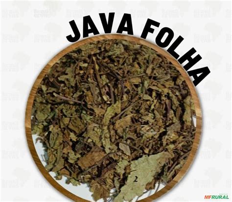 Image result for Creative Hack Minecraft Java