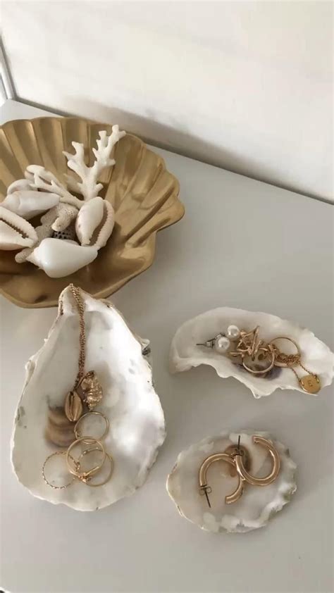 Image result for Seashell Collection
