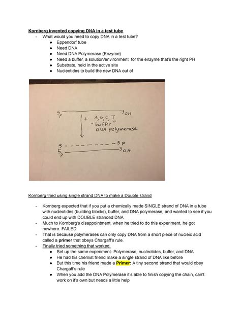 Genetics Part 2 - Kornberg invented copying DNA in a test tube - What would you need to copy DNA ...