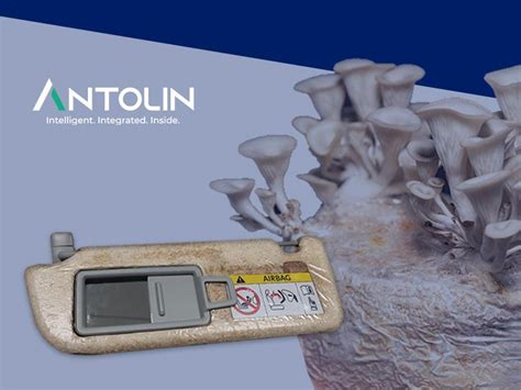 Antolin develops eco-friendly material using mycelium | Autocar ...