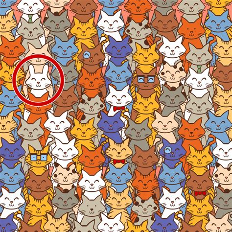 Image result for Python Visual Puzzles